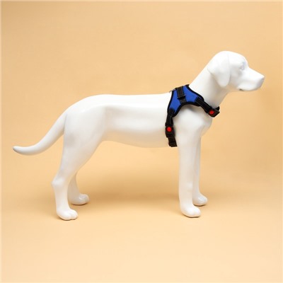 Шлейка К7, размер XL, ОГ 74-92 см, вес 28-47.5 кг, мягкая, светоотражающая, синяя