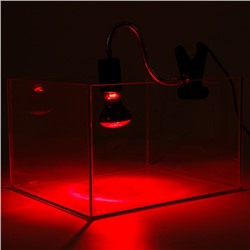 Светильник для террариума, с переключателем освещения