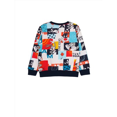 PLAYTODAY Толстовка 12532006