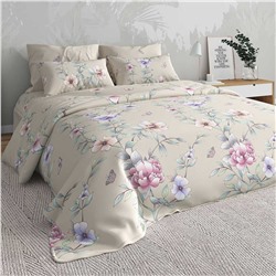 Текс-плюс КПБ Общий 00000006997