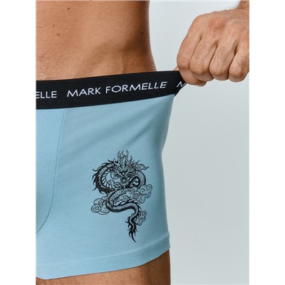 ТРУСЫ МУЖСКИЕ (2ШТ) 411228-2