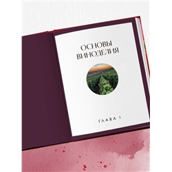 Эксмо Елена Горбачева "Вино к еде. Искусство идеального сочетания"
