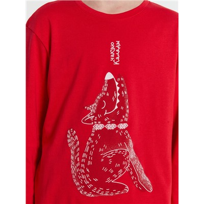 КОМПЛЕКТ ДЛЯ МАЛЬЧИКОВ (ДЖЕМПЕР, БРЮКИ) 563323