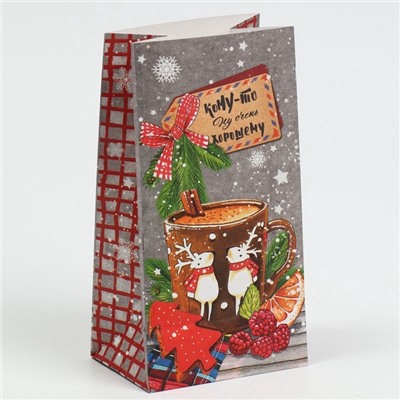 Пакет подарочный без ручек новогодний «Кому‒то ну очень хорошему», 10×19.5×7 см