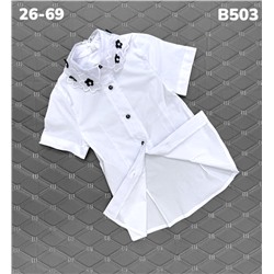 Блузка B503 белый