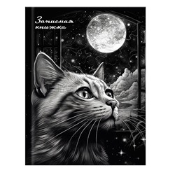 Записная книжка 64 л., А6, клетка "Котолуна"