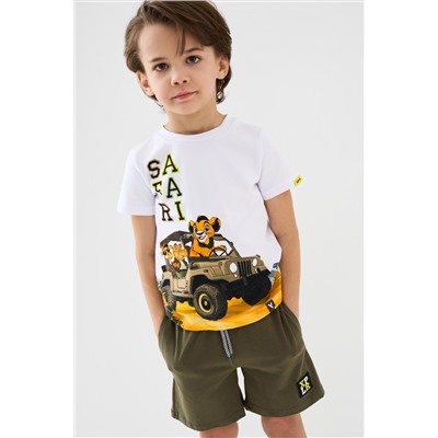 Шорты трикотажные для мальчиков, 2 шт в комплекте PLAYTODAY, 1239798