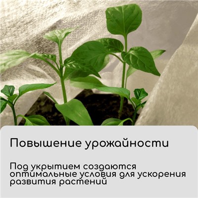 Материал укрывной, 10 × 1.6 м, плотность 30 г/м², спанбонд с УФ-стабилизатором, белый, Greengo, Эконом 30%