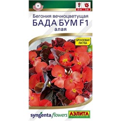 Бегония Бада Бум белая (Код: 93140)