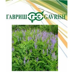 Сидерат Козлятник Ялгинский 0,5кг (Код: 93449)