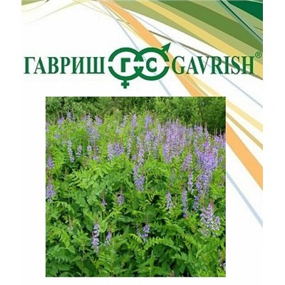 Сидерат Козлятник Ялгинский 0,5кг (Код: 93449)