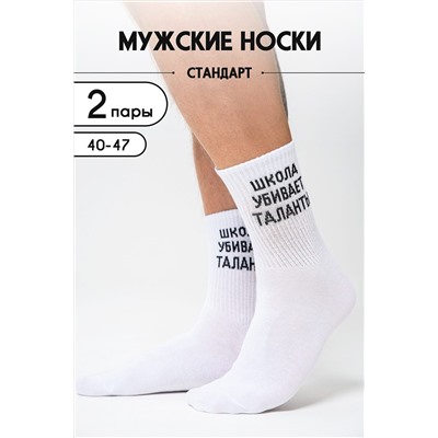 Носки стандарт Талант (набор 2 пары) НАТАЛИ, 1101568