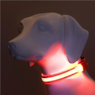 Ошейник с подсветкой Двойная полоса размер XL, ОШ 52-60×2.5 см 3 режима свечения оранж