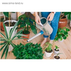 Лейка с длинным носиком, 5 л, с рассеивателем, оцинкованная, без рисунка, носик d=25 мм