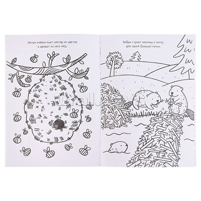 Большие раскраски. На природе