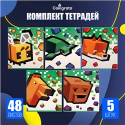Набор тетрадей из 5 штук, 48 листов в линейку, Calligrata «Пиксели»