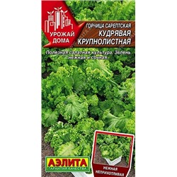 Горчица Сарептская Кудрявая крупнолистный (Код: 93106)