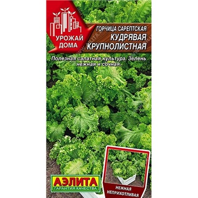 Горчица Сарептская Кудрявая крупнолистный (Код: 93106)