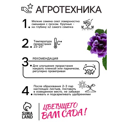 Семена комнатных цветов Глоксиния Аванти "Смесь", ц/п,  F1, 4 шт.