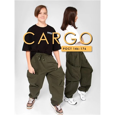 Соль&Перец Брюки SP3903