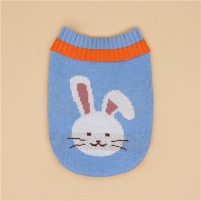 Свитер для животных «Зайка», размер M, ДС 26, ОШ 26, ОГ 28-46 см, голубой