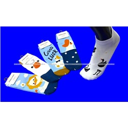 AMIGOBS цветные носки женские с принтом "Прикольные птички" арт. 1819