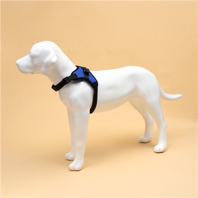 Шлейка К7, размер М, ОГ 52-66 см, вес 9.5-17.5 кг, мягкая, светоотражающая, синяя