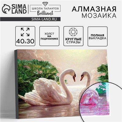 Алмазная мозаика с полным заполнением на подрамнике «Лебеди на озере», 30×40 см