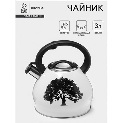 Чайник Доляна Magic forest, 3 л, со свистком, с индикатором нагрева, индукция, нержавеющая сталь, белый