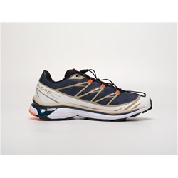 Кроссовки Salomon ADVANCED XT-6 ADV