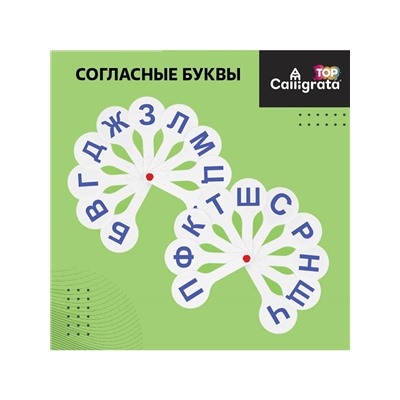 Набор веер-касс, гласные, согласные, цифры от 1 до 20, Calligrata TOP, плотные, 3 штуки, пакет с европодвесом