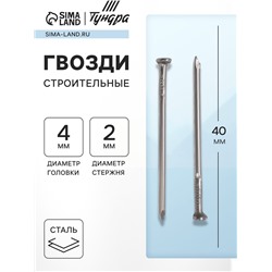 Гвозди ТУНДРА, строительные, ГОСТ 4028-63, без покрытия, 2×40 мм, 5 кг