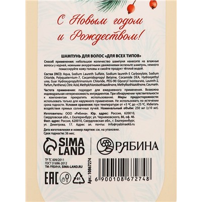 Шампунь для волос «Сила и сияние», аромат: морозная рябина, 250 мл РЯБИНА