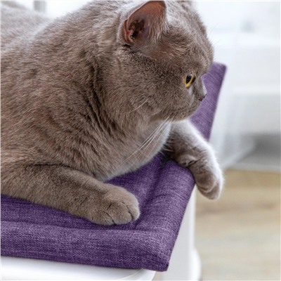 Волшебная Ночь Подушка для стула 920805