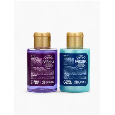 Новогодний подарочный набор косметики Gift for you: гель для душа 2 шт. × 100 мл, мочалка для тела, URAL LAB