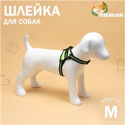 Шлейка улучшенная К7 мягкая светоотражающая, размер М, ОГ 52-66 см, вес 9.5-17.5 кг, зелёная