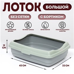 Лоток большой с бортиком Atlantis «Стандарт», 43×33×12.5 см, серый