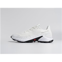 Кроссовки Salomon Alphacross 5 GTX