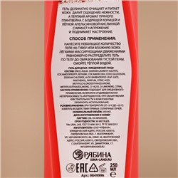 Подарочный набор «Аромат праздника»: гель для душа 250 мл и крем для тела 200 мл, URAL LAB