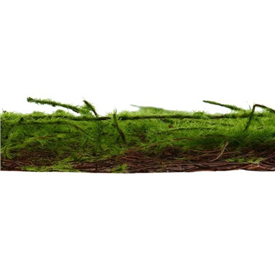 Декоративная панель, 90×40 см, «Мох», Greengo