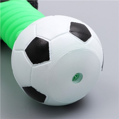 Игрушка пищащая для собак «Гантель большая», усиленная, 19 см, цвет МИКС