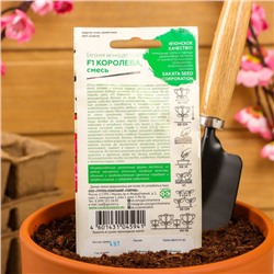 Семена цветов Бегония "Королева", ц/п,  F1, вечноцветущая, махровая, смесь, гранулы, 4 шт