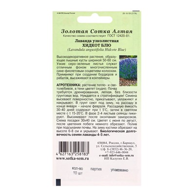 Семена Лаванда «Хидкот Блю», 10 шт., «Золотая Сотка Алтая»