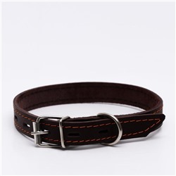 Ошейник кожаный однослойный, тиснёный «Лаю. Кусаю», 48×2, ОШ 32-43 см, коричневый с золотом