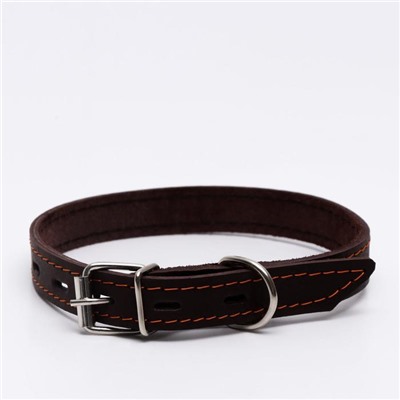 Ошейник кожаный однослойный, тиснёный «Лаю. Кусаю», 48×2, ОШ 32-43 см, коричневый с золотом