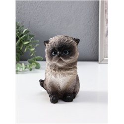 Копилка для денег «Котенок Васька сиамский», гипс, 16 см