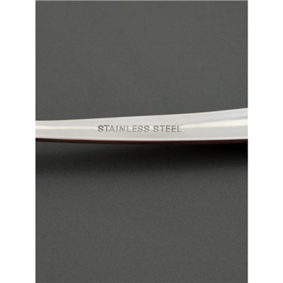 Набор ложек столовых 6 шт, 19,3 см Доляна "Верона" толщина 2 мм