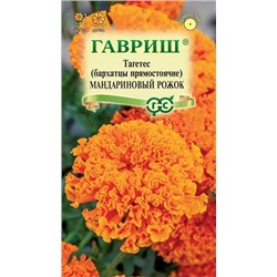Бархатцы Мандариновый рожок (Код: 92900)