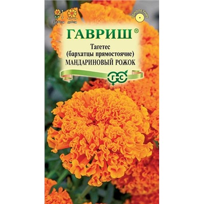 Бархатцы Мандариновый рожок (Код: 92900)