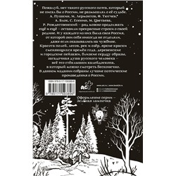 АСТ Пушкин А.С., Есенин С.А., Некрасов Н.А. "Стихи о России"